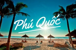 Hành Trình Trải Nghiệm Hồ Tiêu Phú Quốc - Tour Phú Quốc 