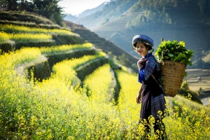 Những địa điểm du lịch Tây Bắc nổi tiếng nhất định phải đến trong đời