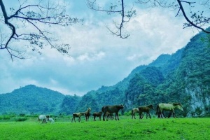 Phiêu diêu về miền thảo nguyên xanh Đồng Lâm tuyệt đẹp ở Lạng Sơn