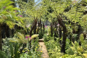 The Bali Hill - Địa điểm “sống ảo” mới cho hội ghiền du lịch Đà Lạt