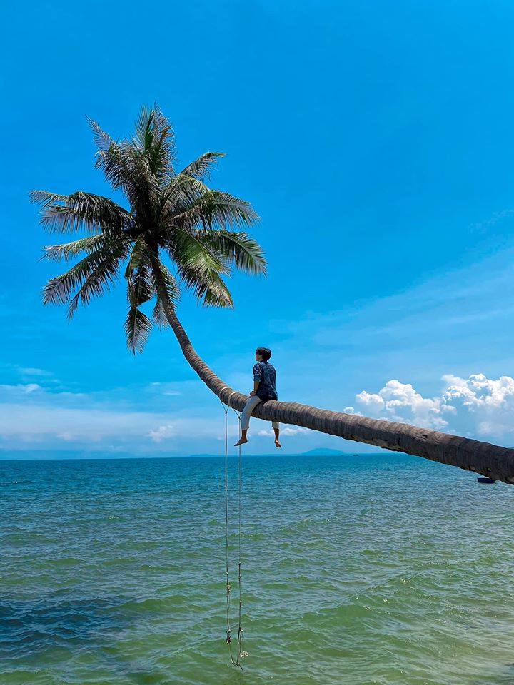 tắm biển tại cây dừa nghiêng mũi né