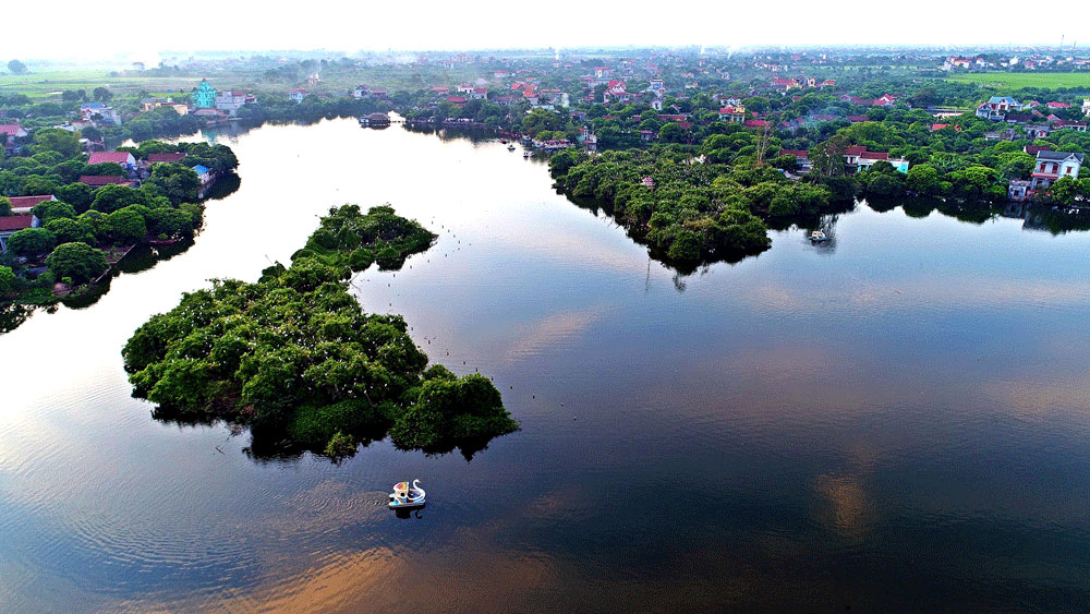 đảo cò chi lăng