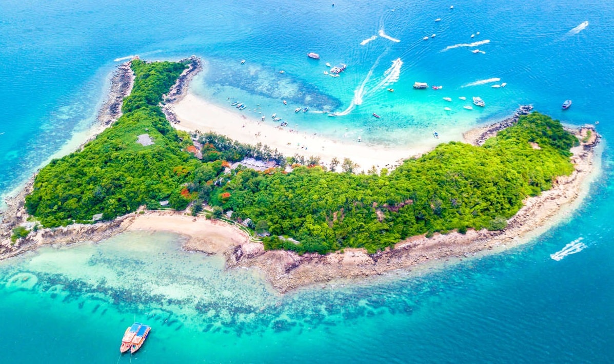 Đảo Coral Thái Lan: Hòn đảo thiên đường của rạn san hô dưới lòng đại dương