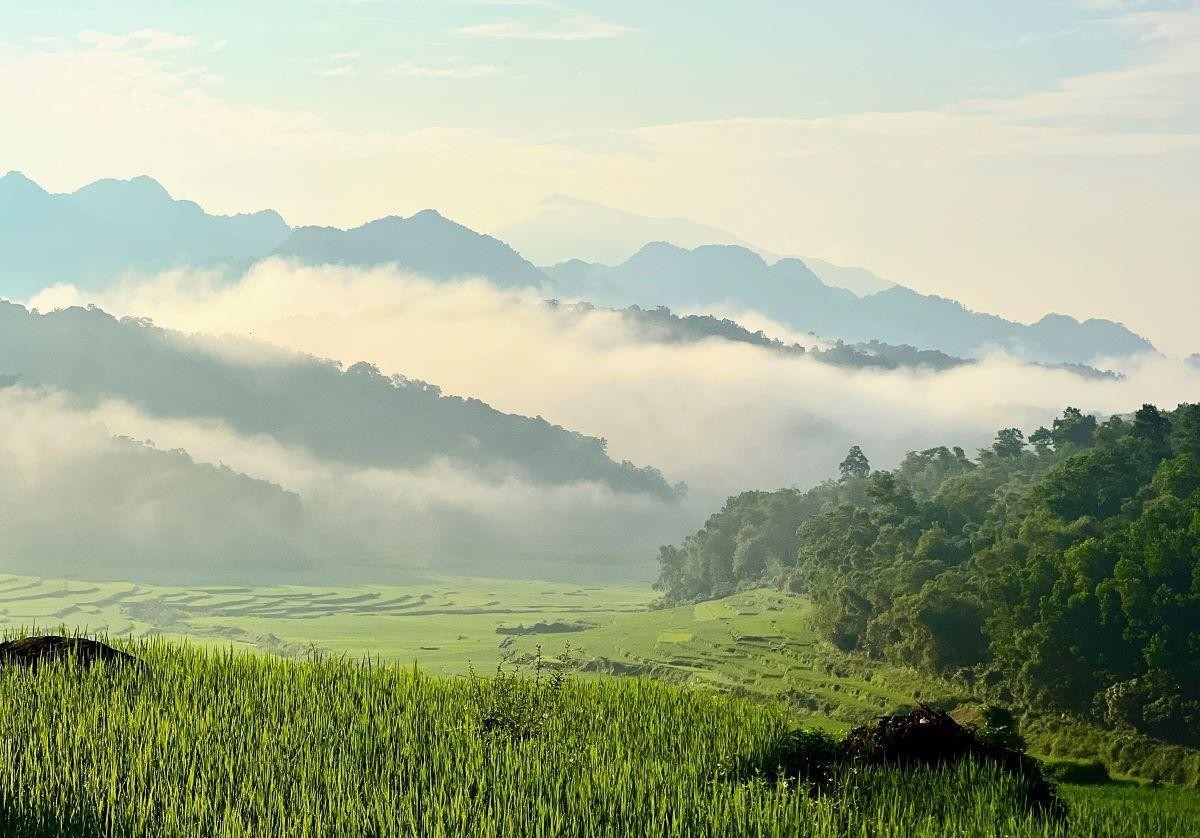 săn mây pù luông