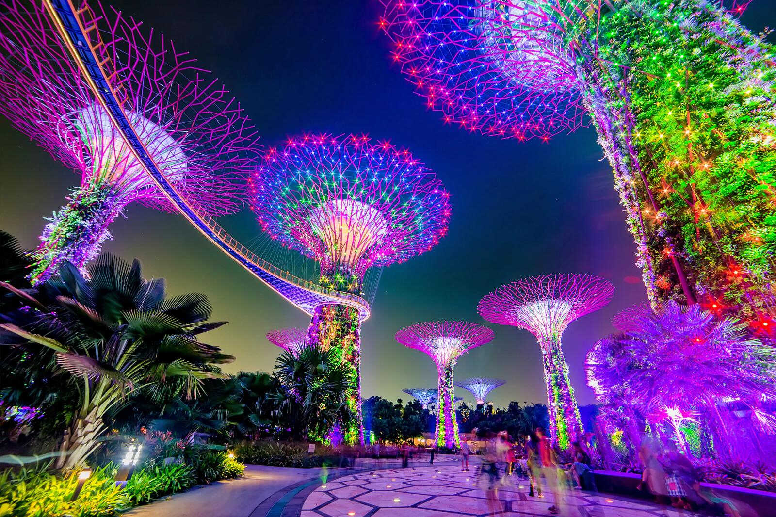 Chiêm ngưỡng chương trình Garden Rhapsody về đêm ở Singapore