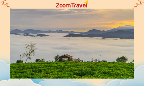 TOUR ĐÀ LẠT - THIÊN ĐƯỜNG SĂN MÂY - THƯỞNG THỨC BUFFET TRÁI CÂY VÀ BUFFET RAU 3N3Đ