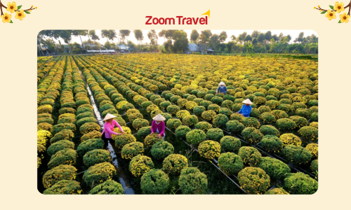 TOUR LÀNG HOA SA ĐÉC - VƯỜN QUÝT HỒNG - CHỢ QUÊ TÂN THUẬN ĐÔNG 1 NGÀY